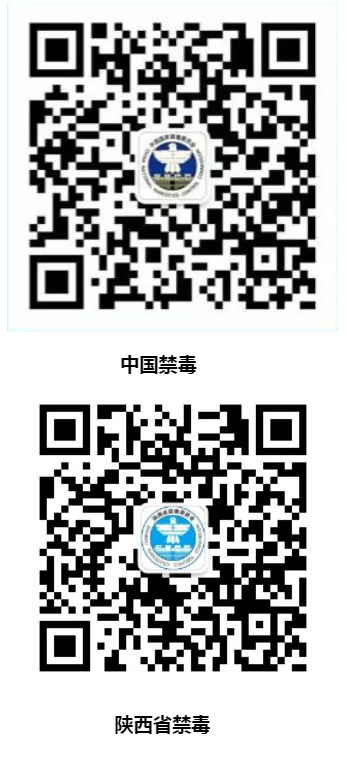 澳门足彩app